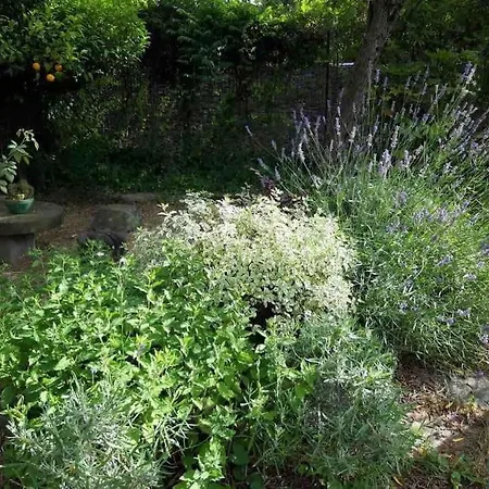بيت للعطل La Casetta Sull'albero